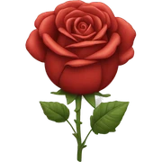 Großer Rosen Strauß aus roten rosen sticker