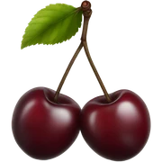 two burgundy cherries on black stem sticker