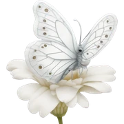 White butterfly sticker
