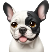  french bulldog sticker