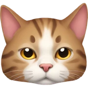 Catnap sticker