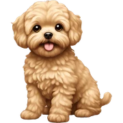 gold maltipoo  sticker