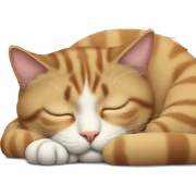 Cat sleeping  sticker