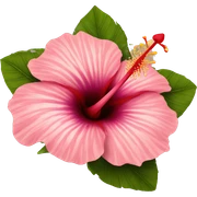 Hibiscus sticker
