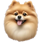 Pomeranian  sticker