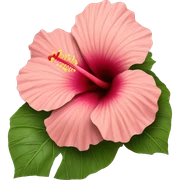 Hibiscus  sticker