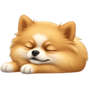 Pomeranian sleeping  sticker