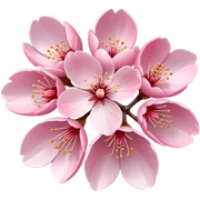 Flor de cerezo sticker