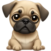 Fawn pug puppy sticker