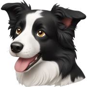 Border collie sticker