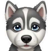 Husky puppy sticker
