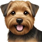 Brown black Norfolk terrier sticker