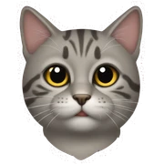 Gato sticker