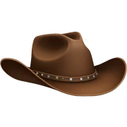 cowboy hat  sticker