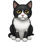 Black sndxwhute Cat with black spot sticker