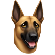 belgian malinois  sticker