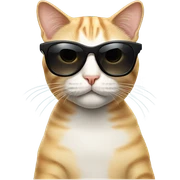 Cat with sunglasses sticker