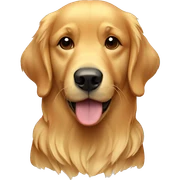 Golden retriever  sticker