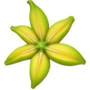 Star fruit sticker