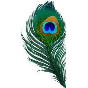 Feather of peacock  sticker