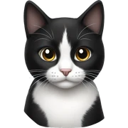 black and white cat sticker