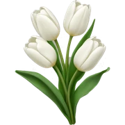 White tulips  sticker