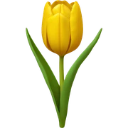 Yellow tulip sticker