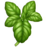 Basil sticker