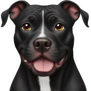 black pitbull dog sticker