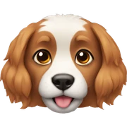 Animales sticker