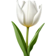 white tulip sticker