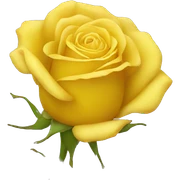 yellow rose sticker