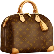 Louis Vuitton bag sticker
