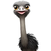 ostrich  sticker