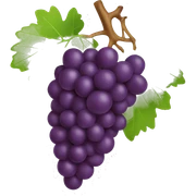 Grapes  sticker