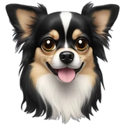 black long hair chihuahua sticker