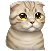 Scottish fold cat sticker
