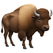 buffalo sticker