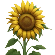 Sunflower  sticker