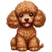 caramel colored poodle puppy sticker