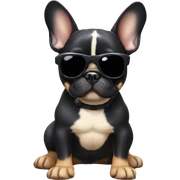 French bulldog with black body and ears and tan paws and belly with sunglasses sticker