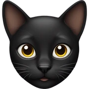 Black cat sticker