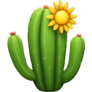 cactus sticker