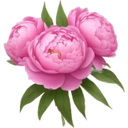 Bouquet of pink peonies sticker