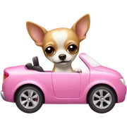 chihuahua in pink car  sticker