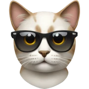 Cat with sunglasses sticker