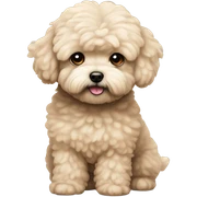 whole beige matipoo sticker