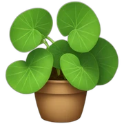 pilea sticker
