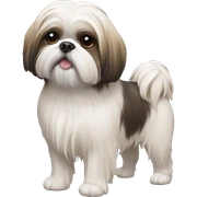 Shihtzu sticker