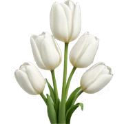 White tulips sticker